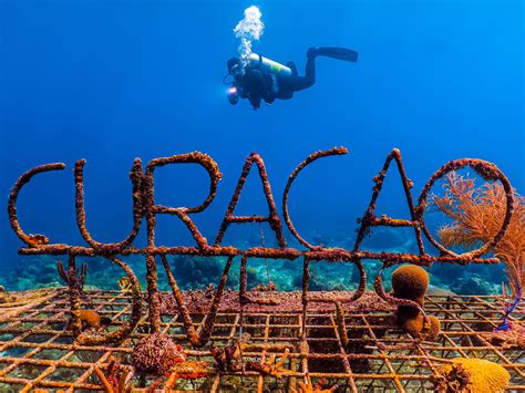 curacao diving reviews|Curacao scuba dive travel guide .